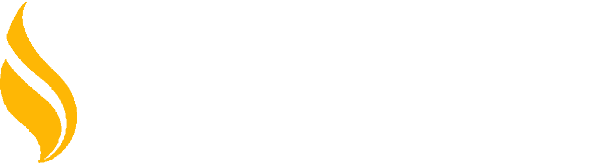 Apollo Vidhyalayam