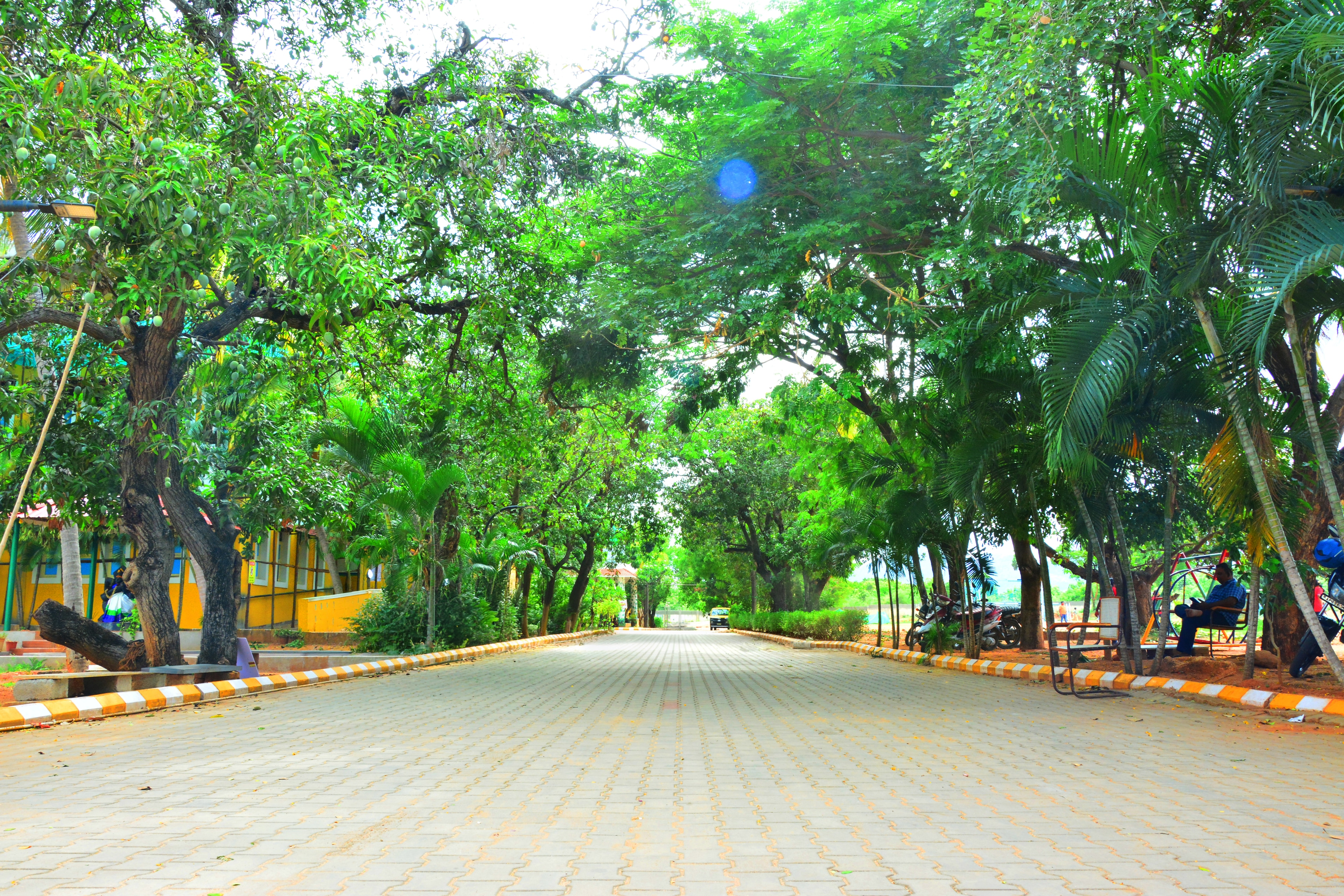 Students at Apollo Vidhyalayam