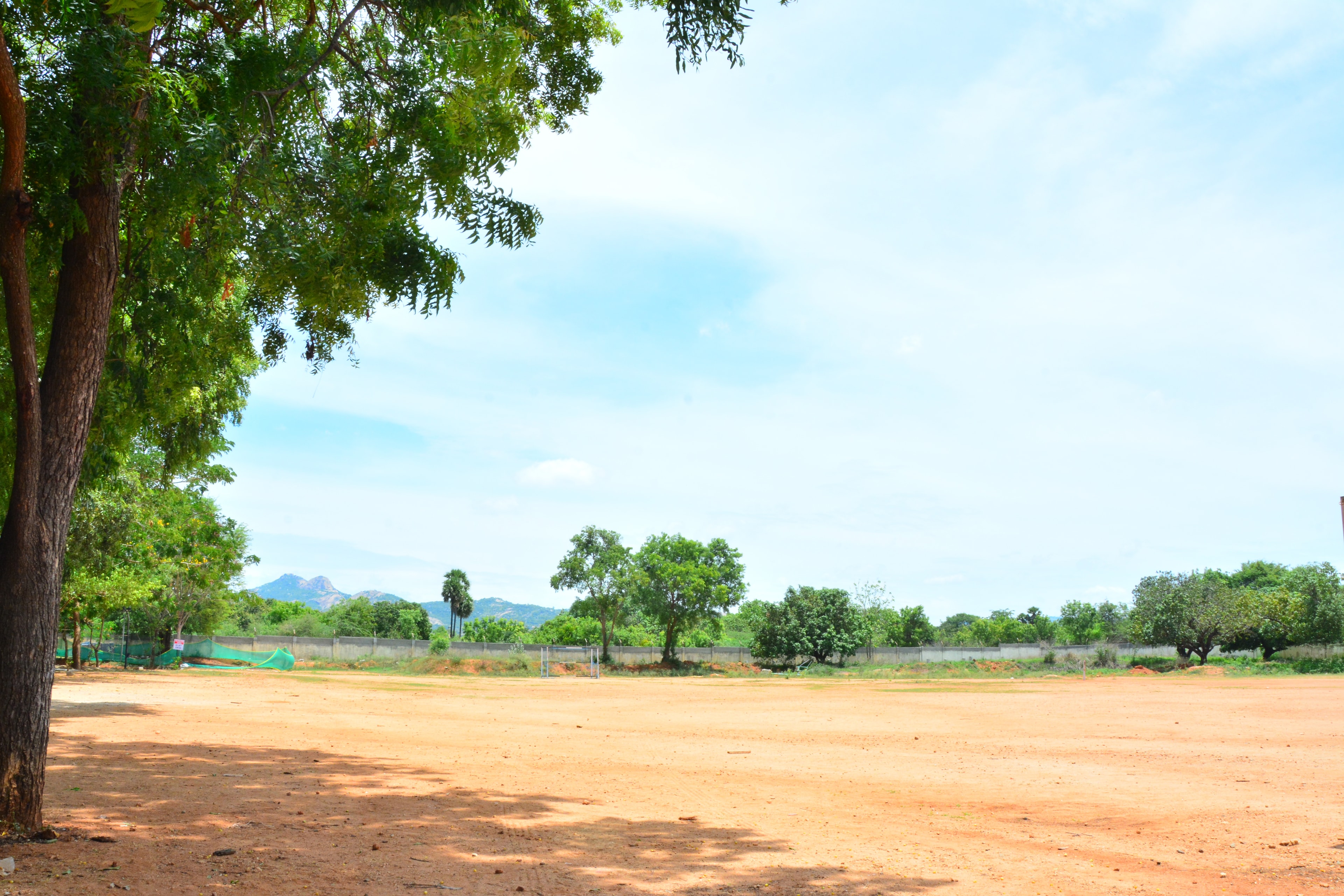 Sports Facilities